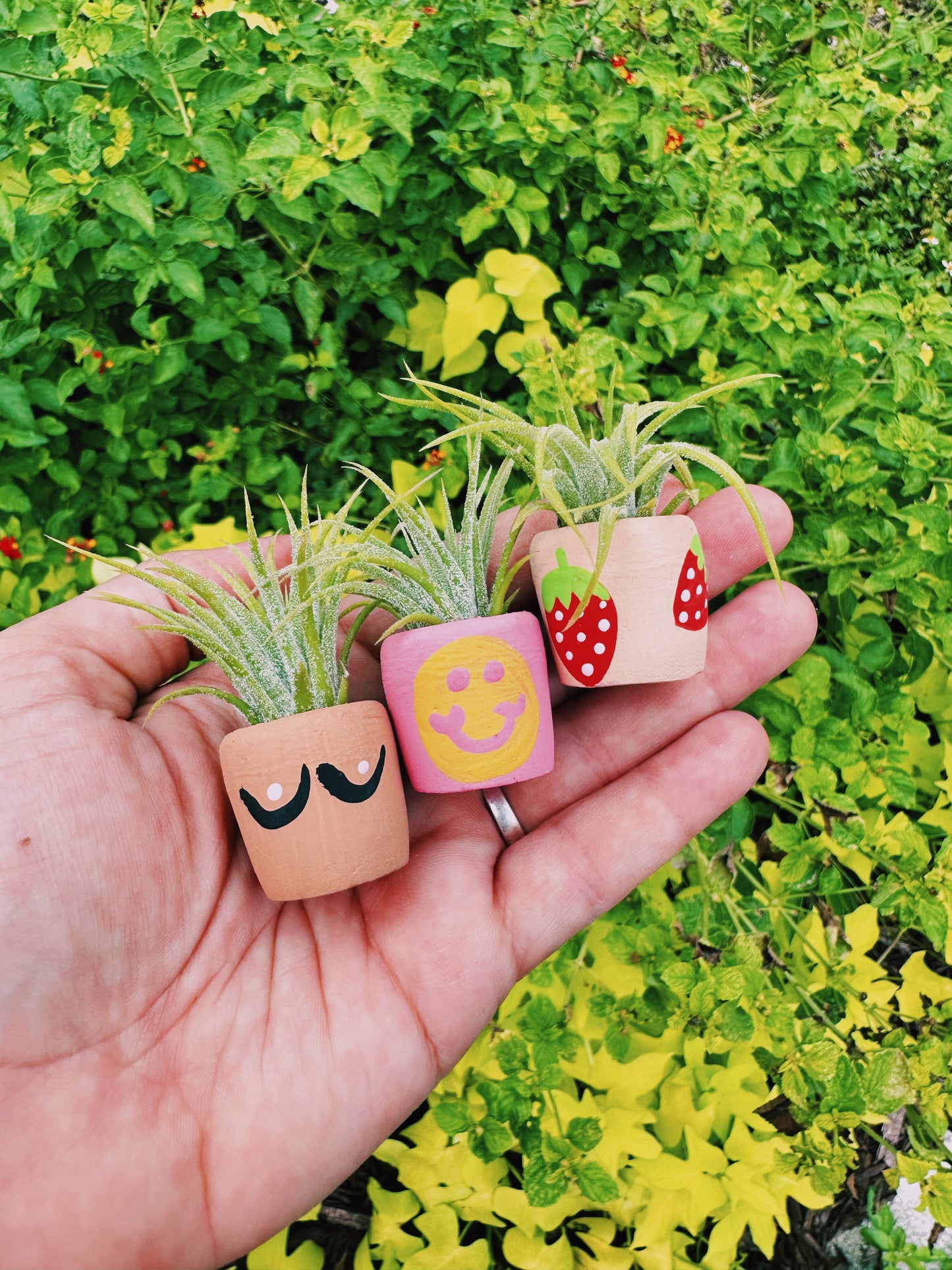 Berry Cute Mini Planter