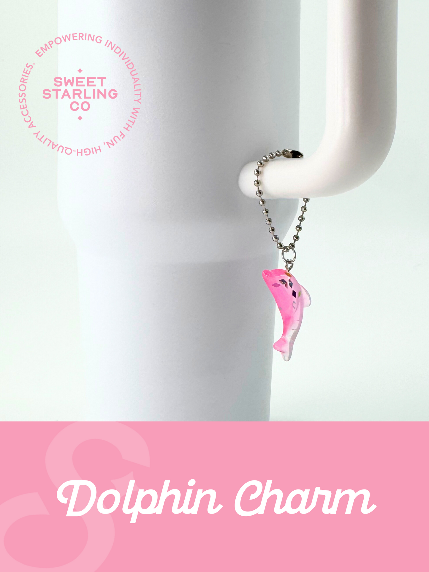 Dolphins Charm