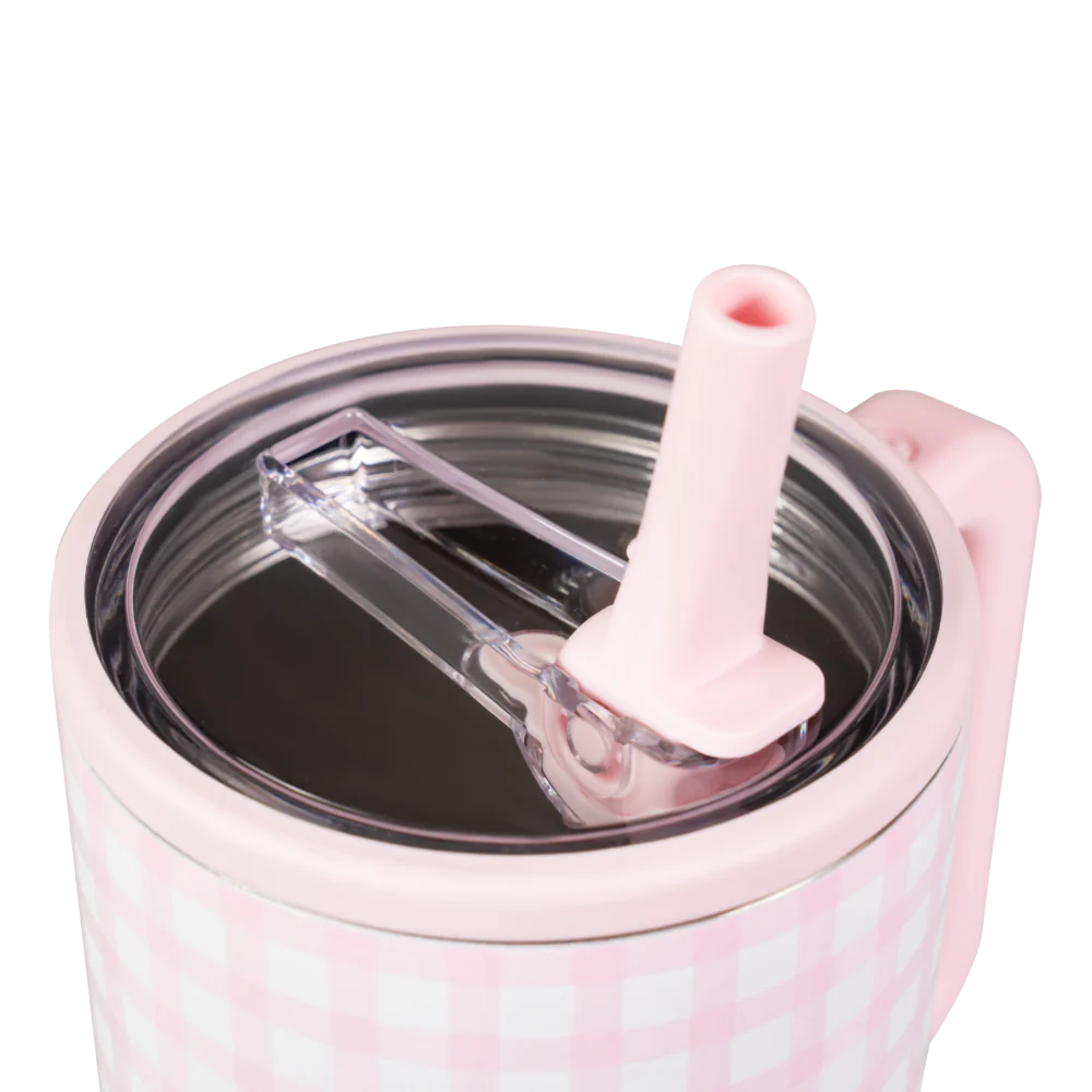 HydroJug Traveler- 20 oz Pink Gingham