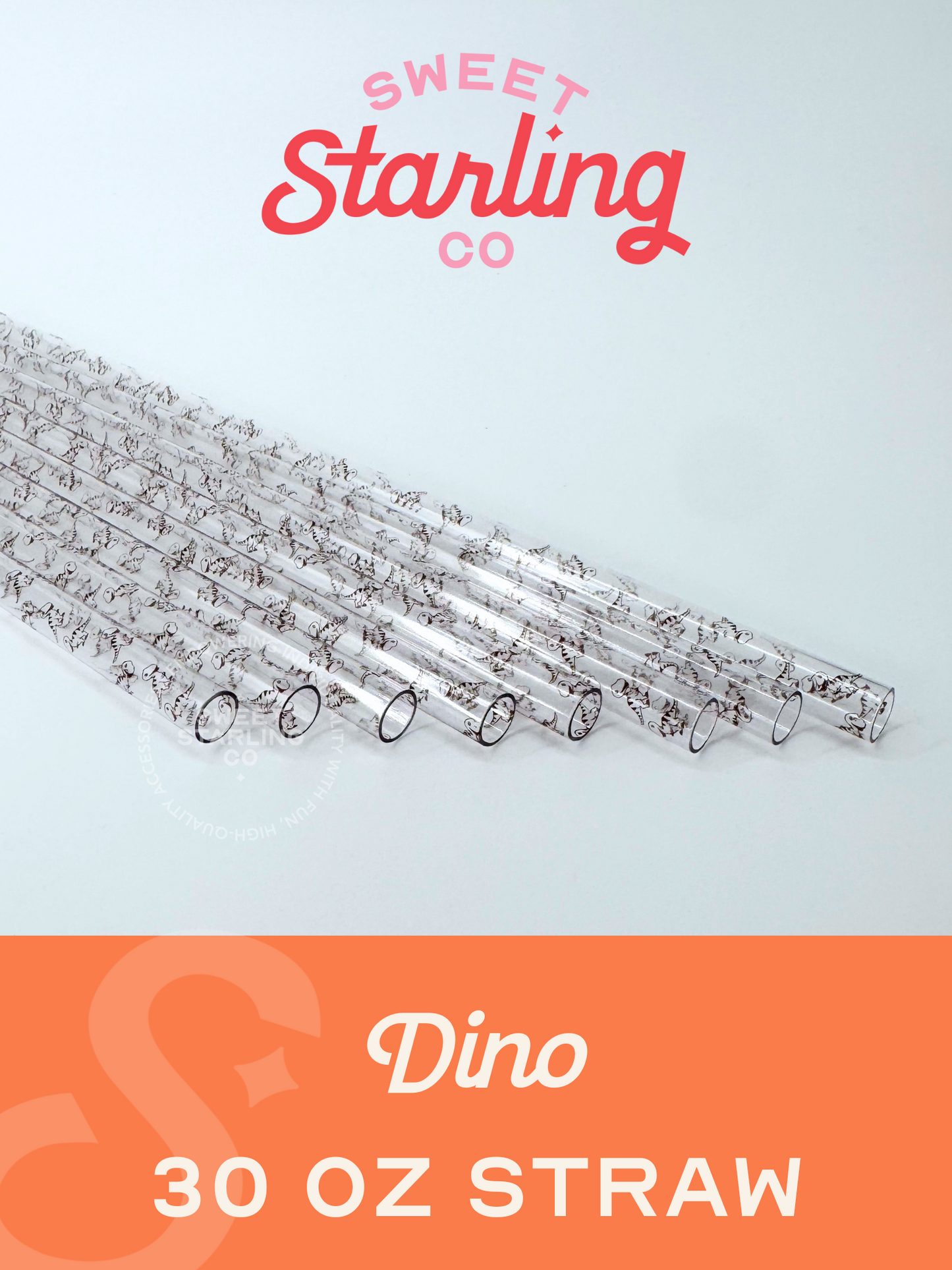 Dino 30 oz Reusable Straws- Wide Fit
