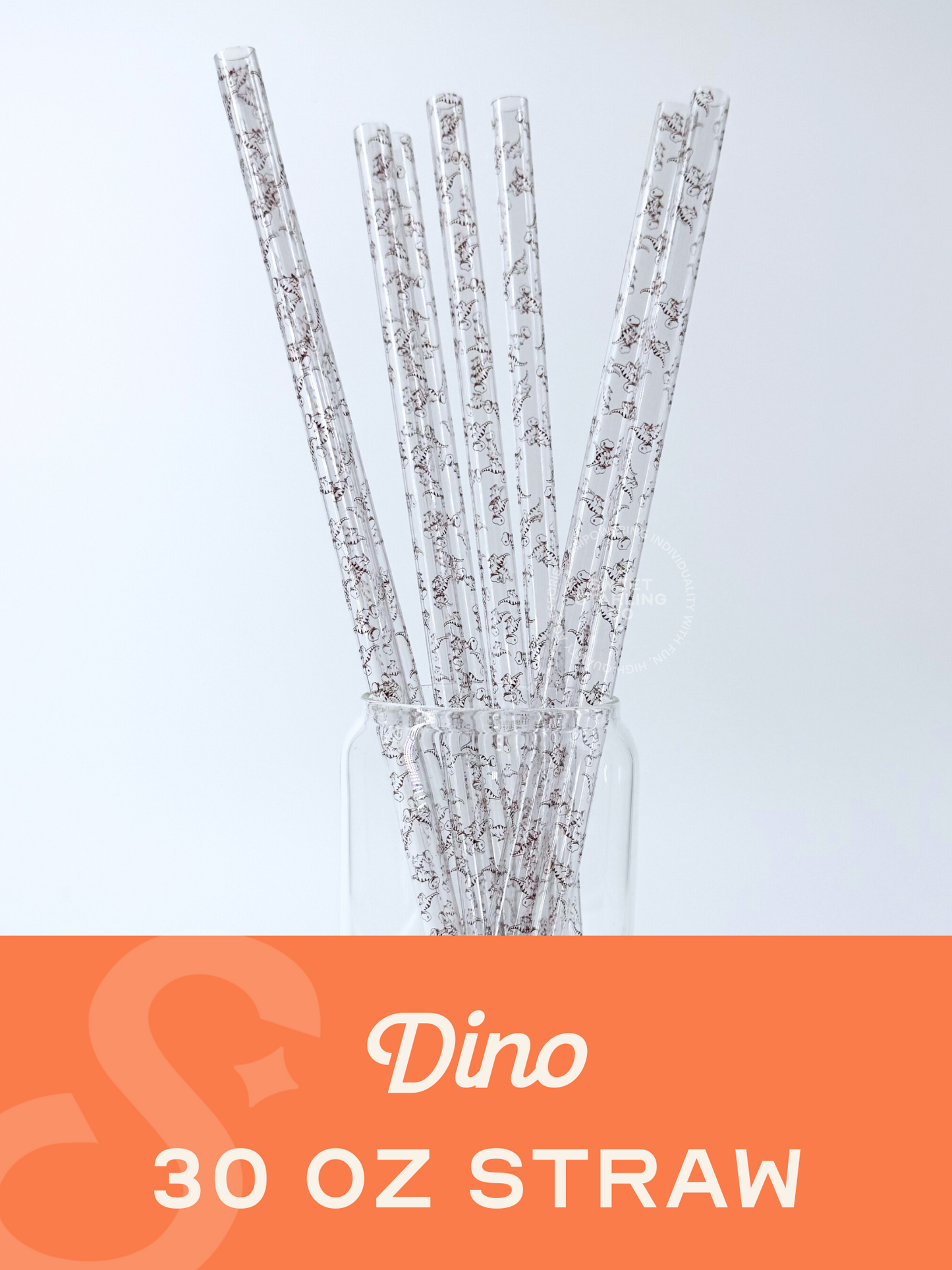 Dino 30 oz Reusable Straws- Wide Fit