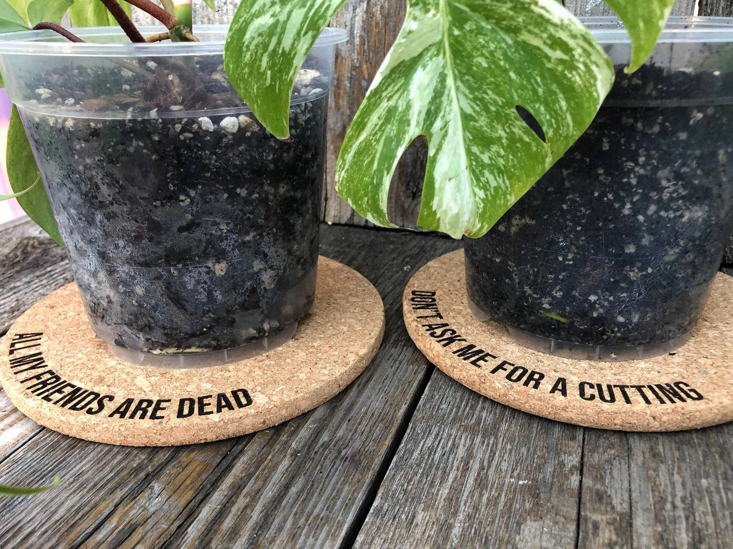 I'm Gonna Die Here Cork Plant Mat - Engraved Cork Ro: 4 Inch Cork Plant Mat