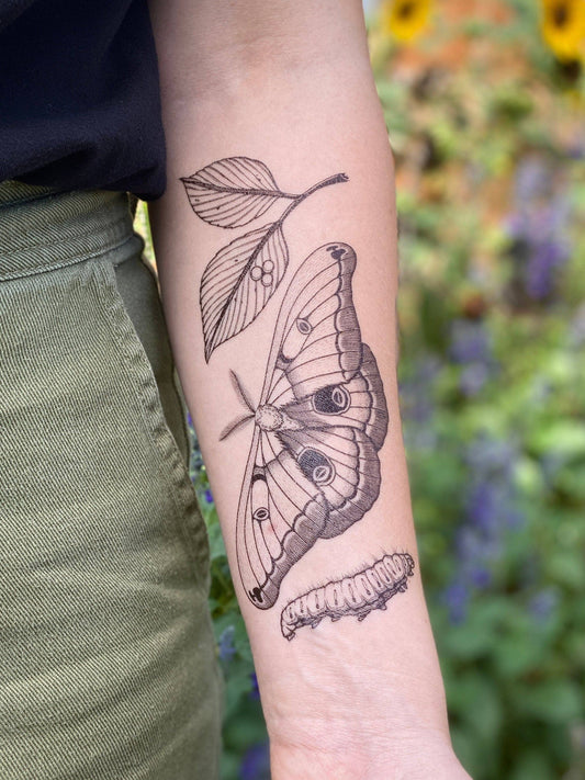 Polyphemus Moth Temporary Tattoo: 1-Pack
