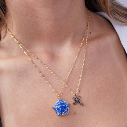 Harry Potter™ Chocolate Frog Necklace Set: Two Tone
