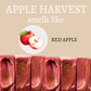 Apple Harvest Customizable Fall Handmade Soap Bar - 4oz