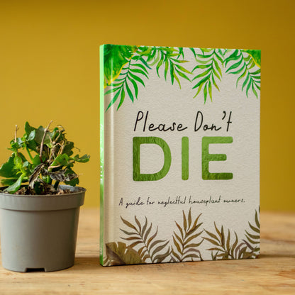 Please don't die - houseplants