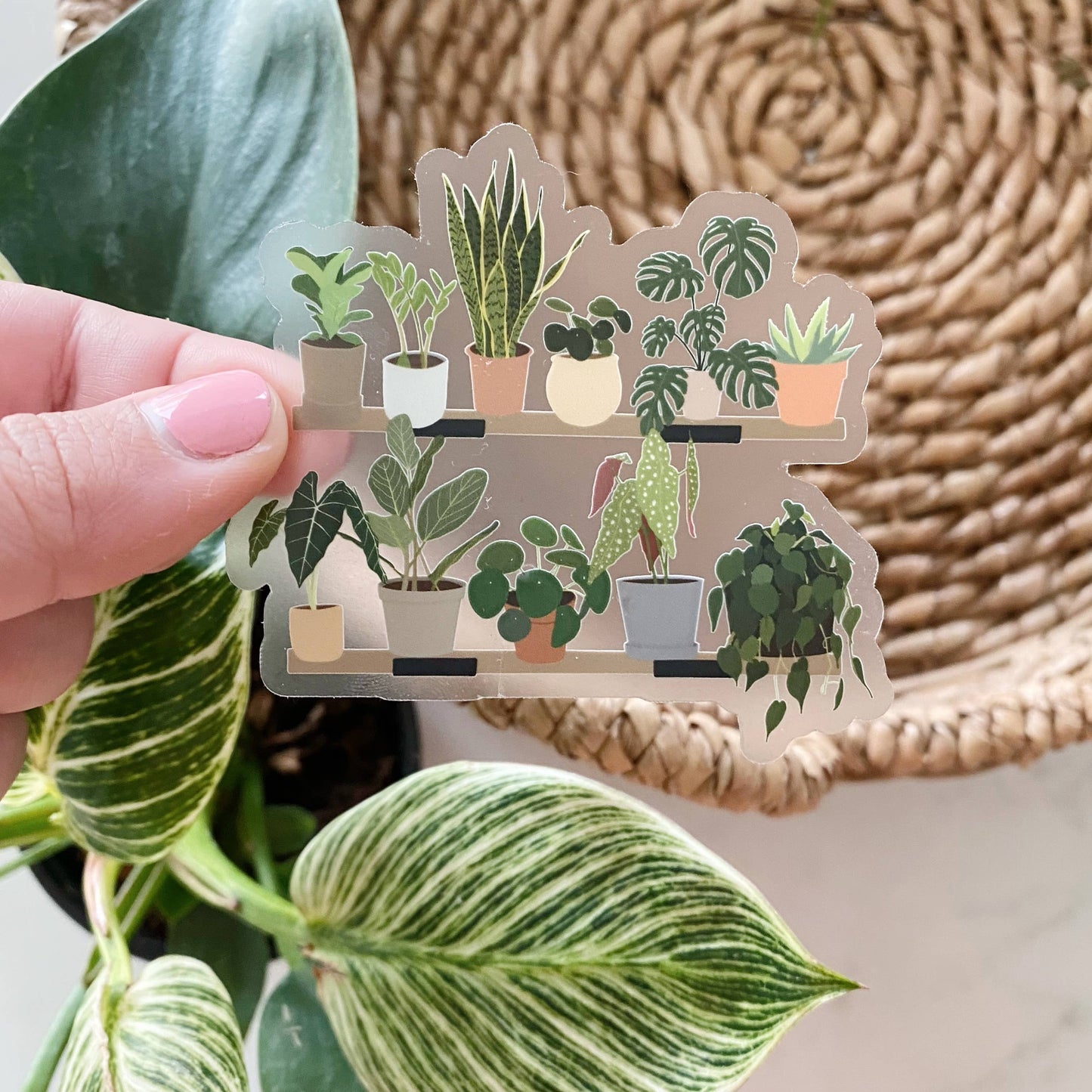 House Plant Shelf Collection CLEAR Sticker