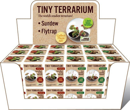 Tiny Terrarium Carnivorous Glass Terrarium Counter Display