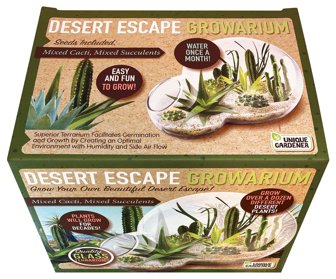 Desert Escape Growarium Glass Terrarium