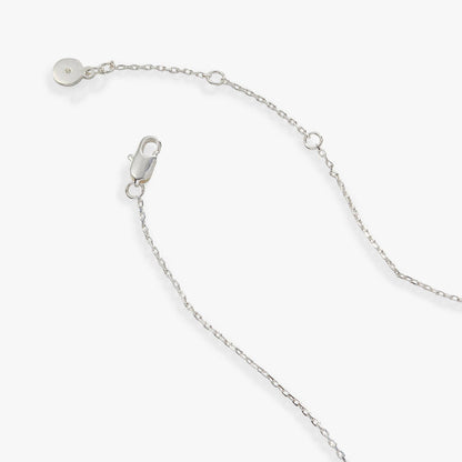 Harry Potter™ Advanced Potion Making Locket Necklace: Silver