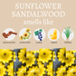 Sunflower Sandalwood Fall Handmade Soap Bar - 4oz