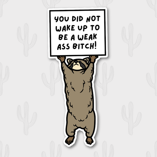 Funny Raccoon Sticker, Cute Animal Sticker, Motivational: Unpackaged