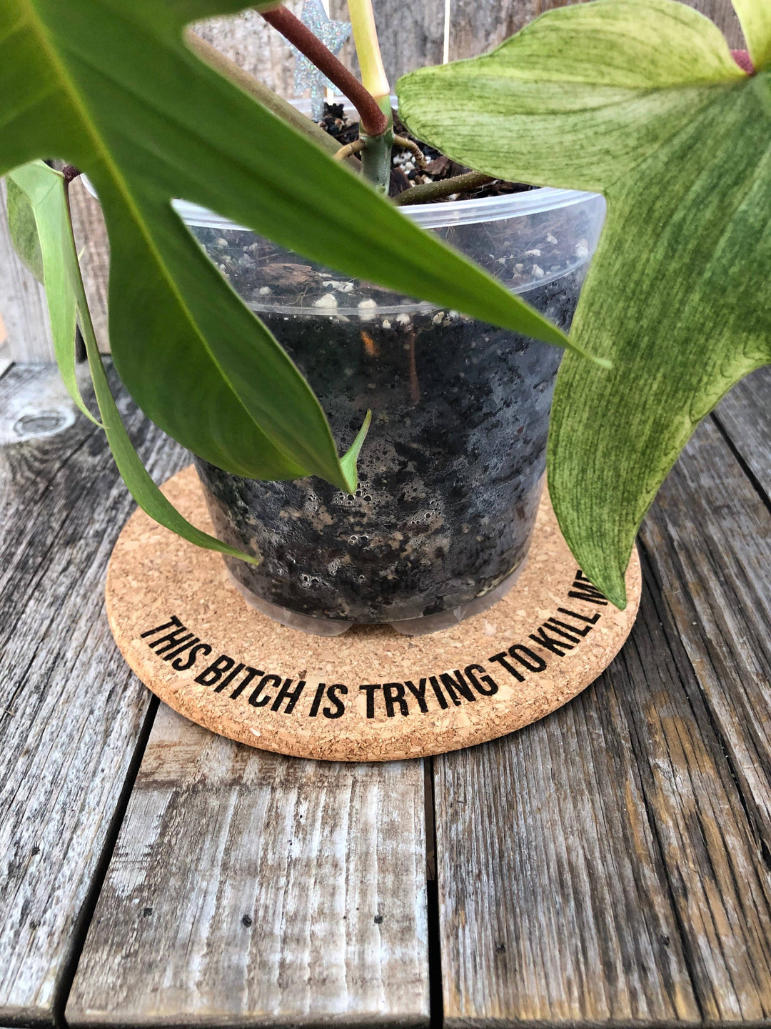 This Bitch is Trying to Kill Me Cork Plant Mat - Eng: 4 Inch Cork Plant Mat