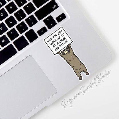 Funny Raccoon Sticker, Cute Animal Sticker, Motivational: Unpackaged