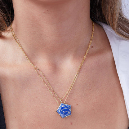 Harry Potter™ Chocolate Frog Necklace Set: Two Tone