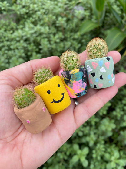 Smiley Face Mini Pot and Plant