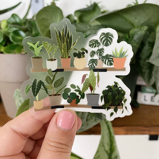 House Plant Shelf Collection CLEAR Sticker