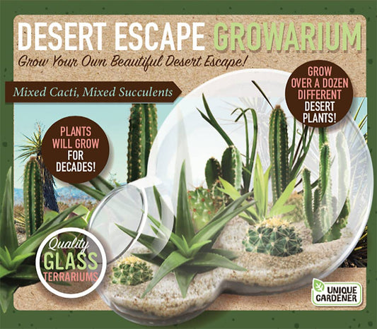 Desert Escape Growarium Glass Terrarium