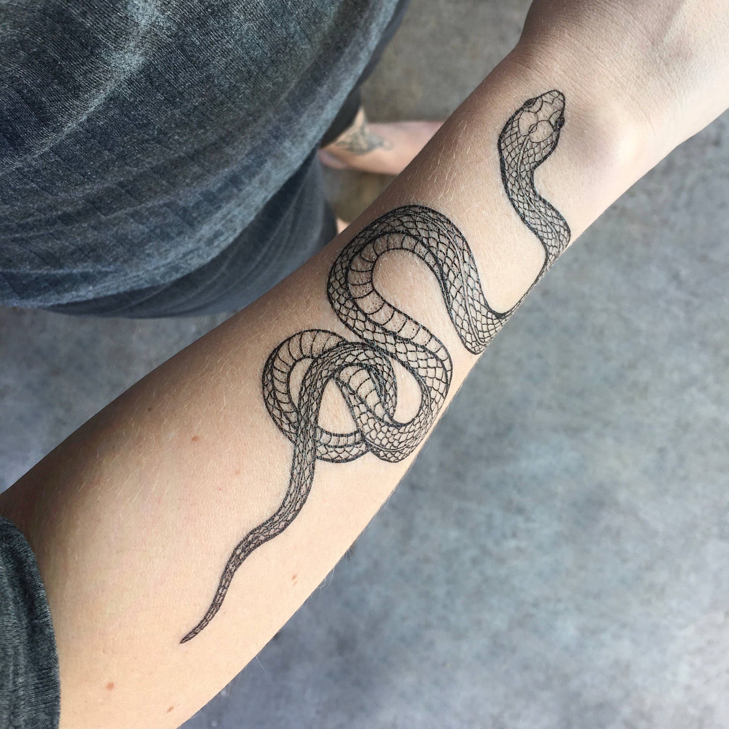 Garden Snake Temporary Tattoo: 1-Pack