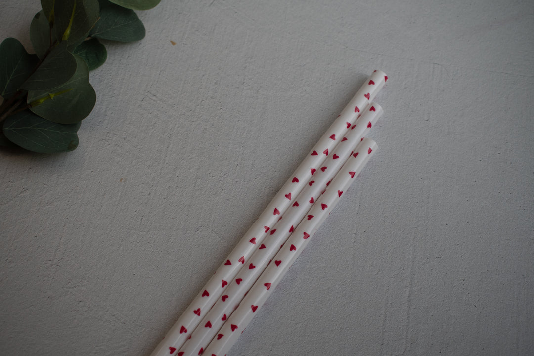 Christmas 40 oz Reusable Straws- Wide Fit – The Sweet Starling Co