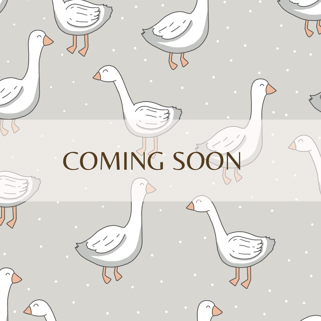 *coming soon* Geese