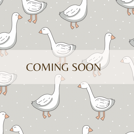 *coming soon* Geese