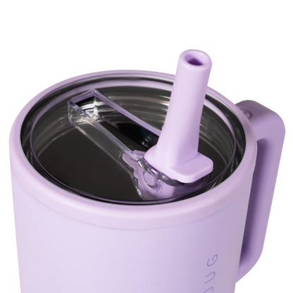 HydroJug Traveler- 20 oz Lavender