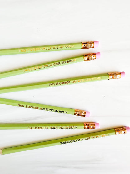 Set of 6 'This is Overstimulating my Brain' Hex Pencils