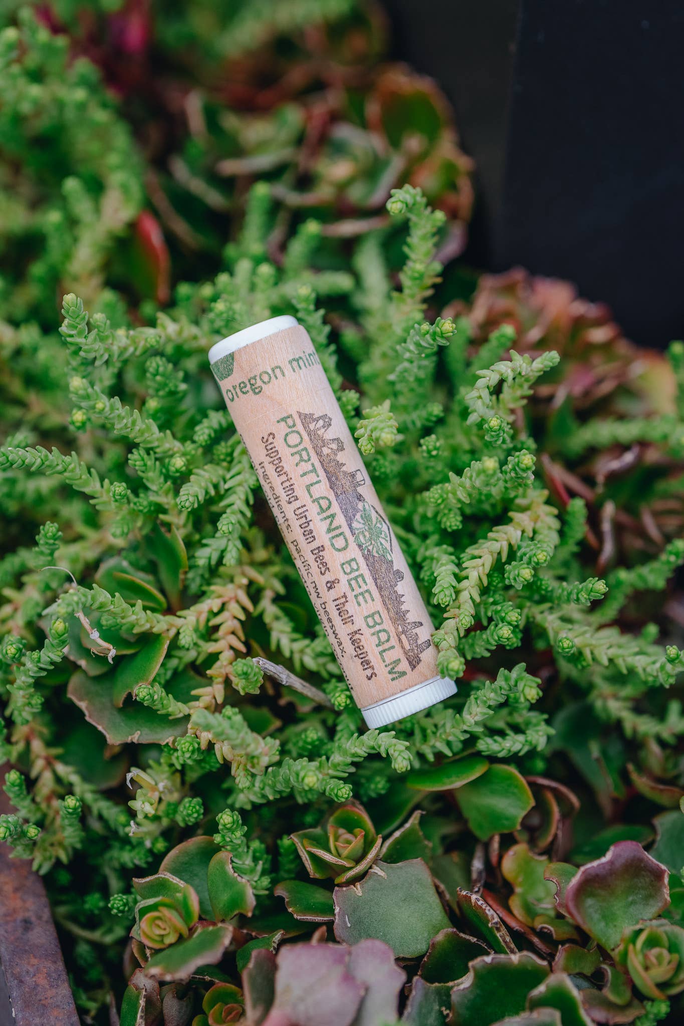 Oregon Mint Beeswax Lip Balm