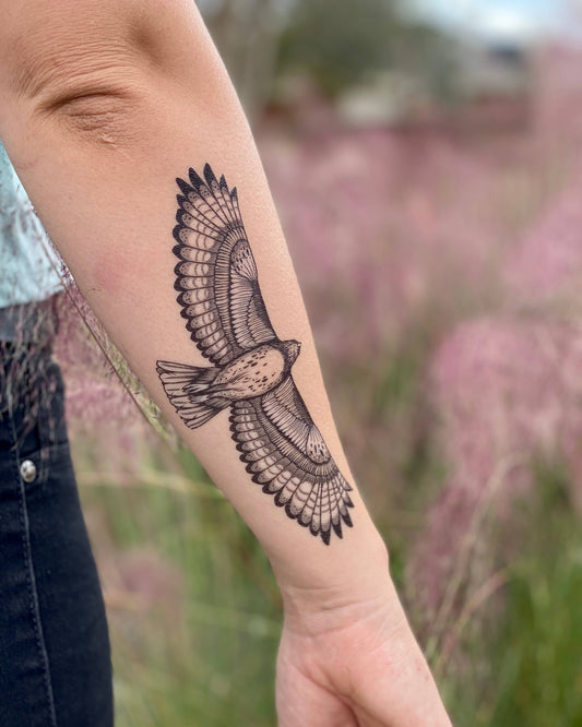 Hawk Temporary Tattoo: 1-Pack