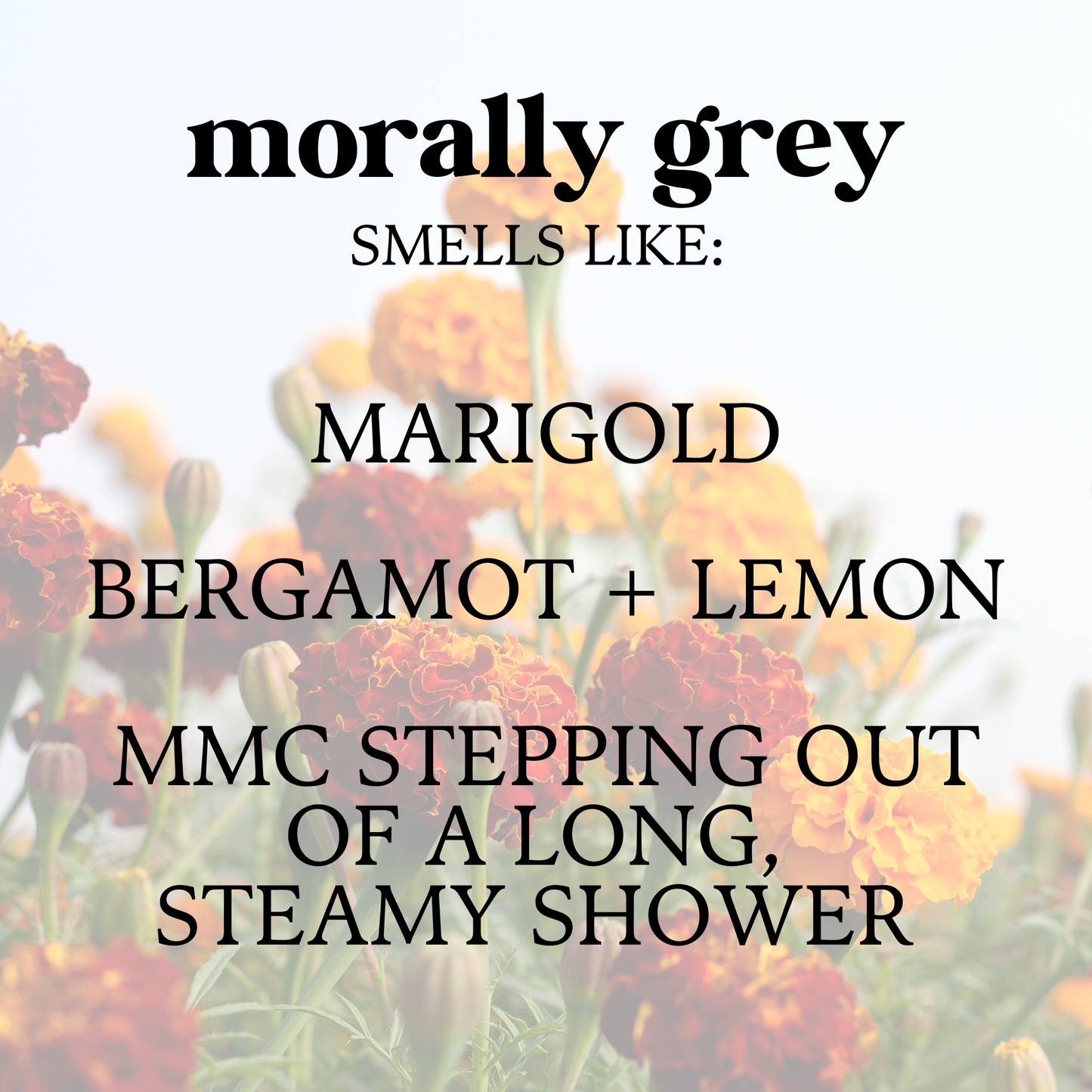 Morally Grey Wax Melt