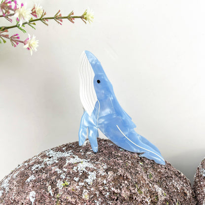 Tiger Shark and Whale Acetate Hair Claw Clip: Black